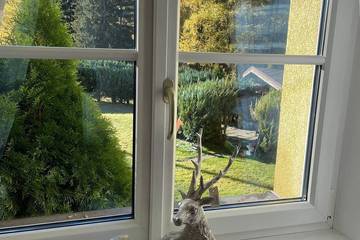 Hütte für 6 Personen, mit Garten in Nauders
