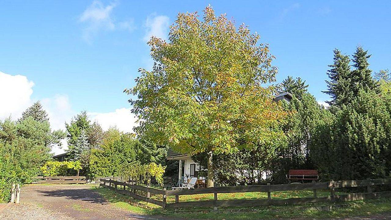 Ganze Ferienwohnung, Ferienwohnung für 2 Personen (57 m²) in Pfalzfeld in Pfalzfeld, Hunsrück