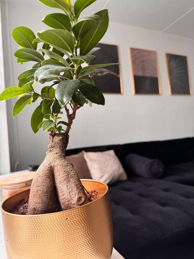 Ferienwohnung für 8 Personen, mit Garten in Lelystad