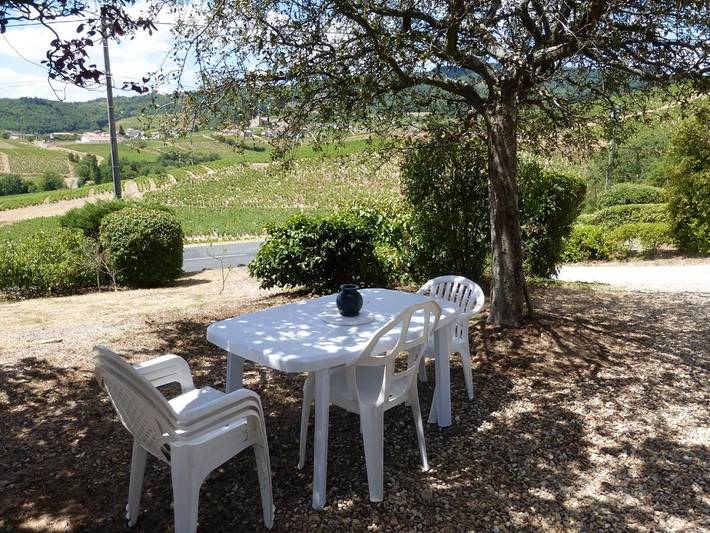 Gîte pour 4 personnes, avec terrasse et jardin, animaux acceptés à Villié-Morgon - 2