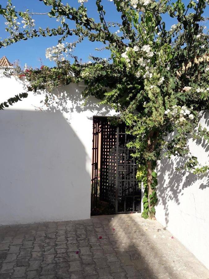 Apartment - Ground Floor in Tavira (Santiago), Tavira (Santa Maria e Santiago)