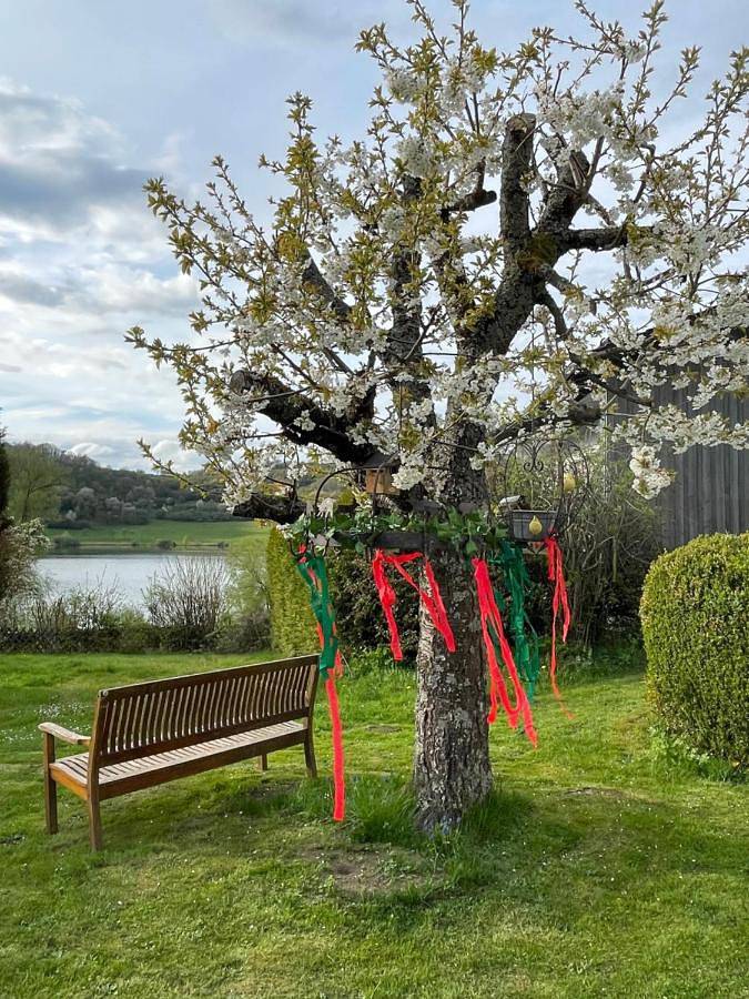 Ferienwohnung für 2 Personen, mit Ausblick und Seeblick sowie Garten, mit Haustier in der Vulkaneifel - 2