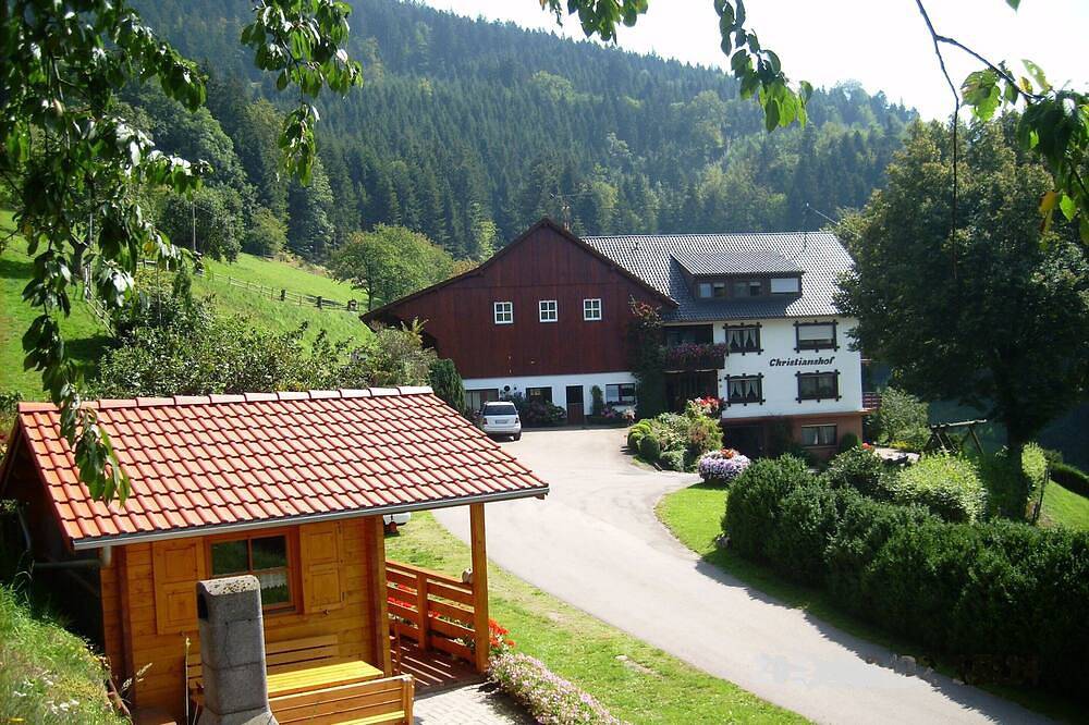 Ganze Wohnung, Christianshof  - 'Appartement' mit Bergblick, Gemeinschaftsgarten und Wlan in Oppenau, Mittlerer Schwarzwald