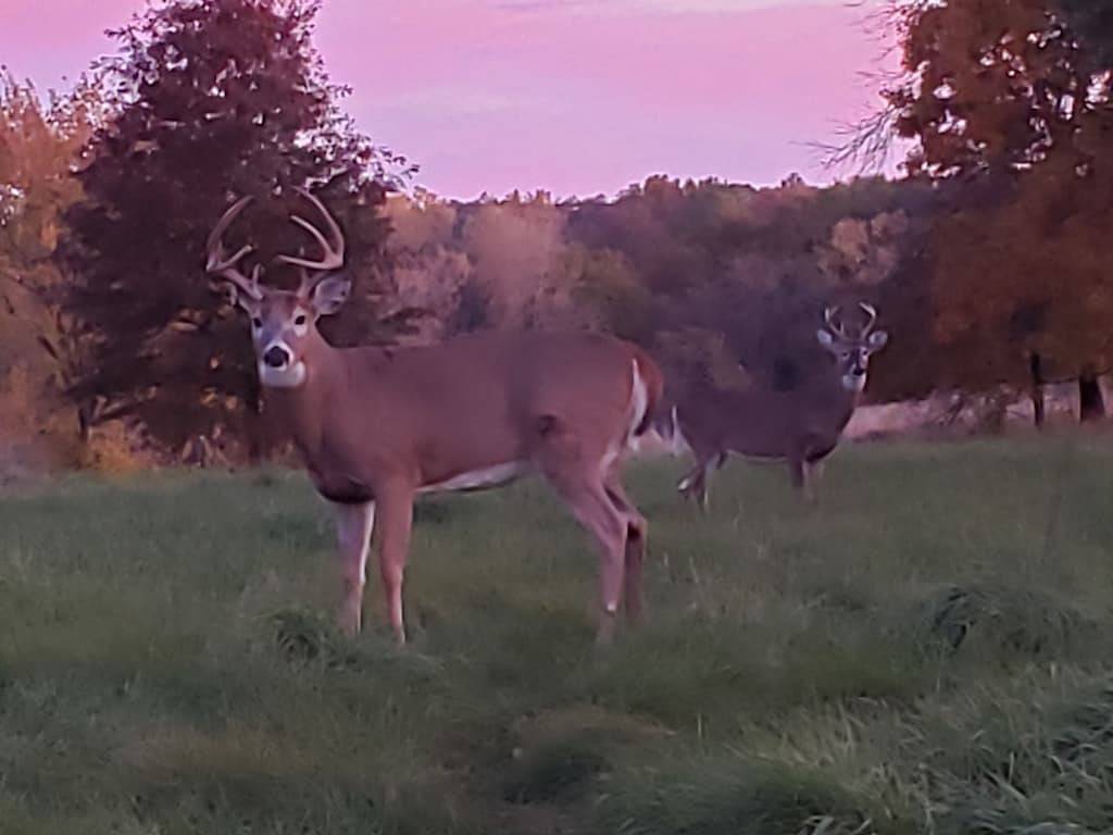 Randy's Rathbun Rental #2 \"Your home away from Home\" 15786 two point lane in Appanoose County