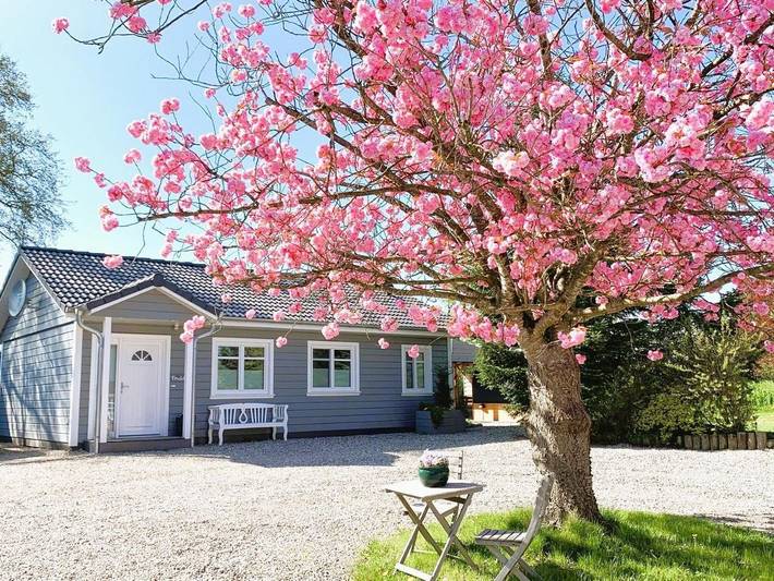 Ferienwohnung für 9 Personen, mit Ausblick und Sauna sowie Garten in Dollerup - 2