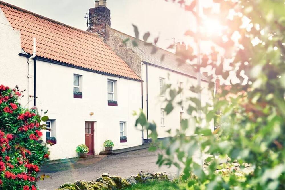 Beautiful Holy Island of Lindisfarne: Dog Friendly Peaceful Retreat. in Holy Island