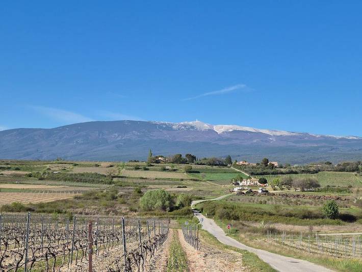 Location de vacances pour 6 personnes, avec piscine ainsi que jardin et vue à Blauvac - 4