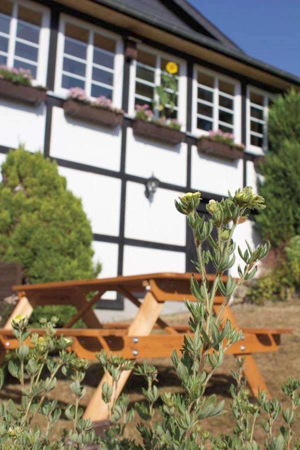 Wolfs Ferienhaus - Natürlich Eifel in Blankenheim, Naturpark Hohes Venn-Eifel