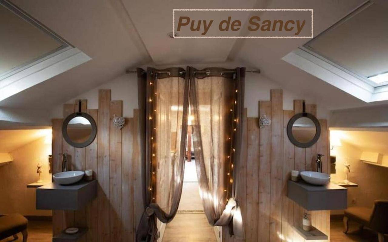 Appartement entier, Studio Apartment in Clermont-Ferrand, Parc naturel régional des Volcans d'Auvergne