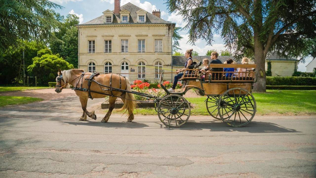Domaine de Roiffé in Roiffé, Vallée de la Loire