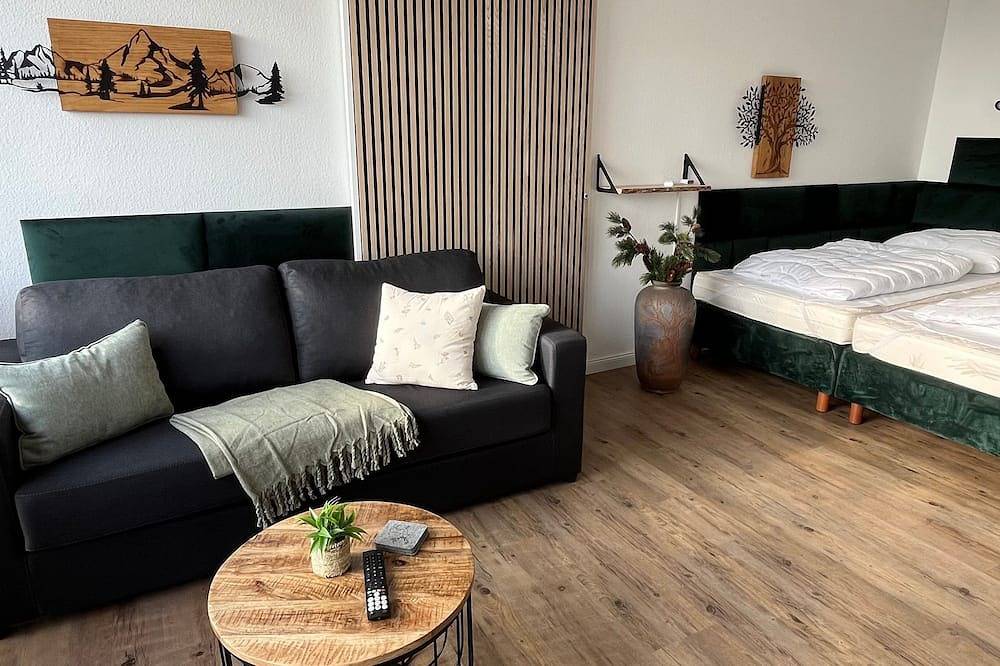 Ganze Wohnung, Ferienwohnung/App. für 3 Gäste mit 34m² in Goslar-Hahnenklee in Hahnenklee, Goslar