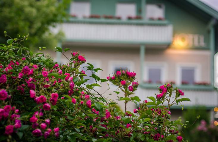Gartenhotel Salzach***garni - Einzelzimmer in Burghausen, Landkreis Altötting