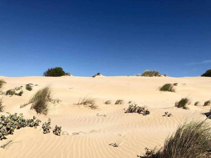 Gîte pour 4 personnes, avec vue à Sampieri - 4