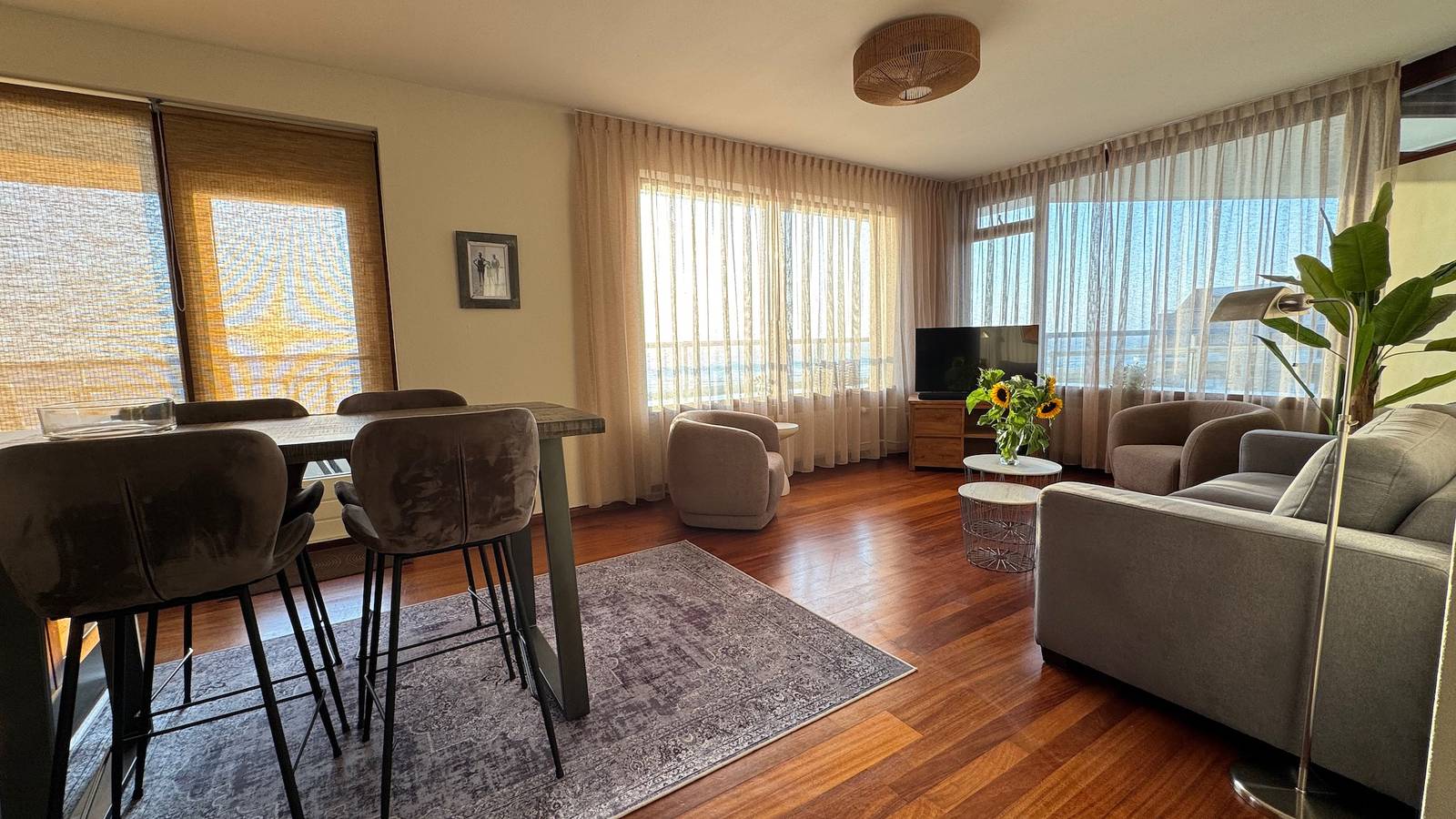 Rentals Egmond — Sterflat 113 in Egmond, Egmond aan Zee