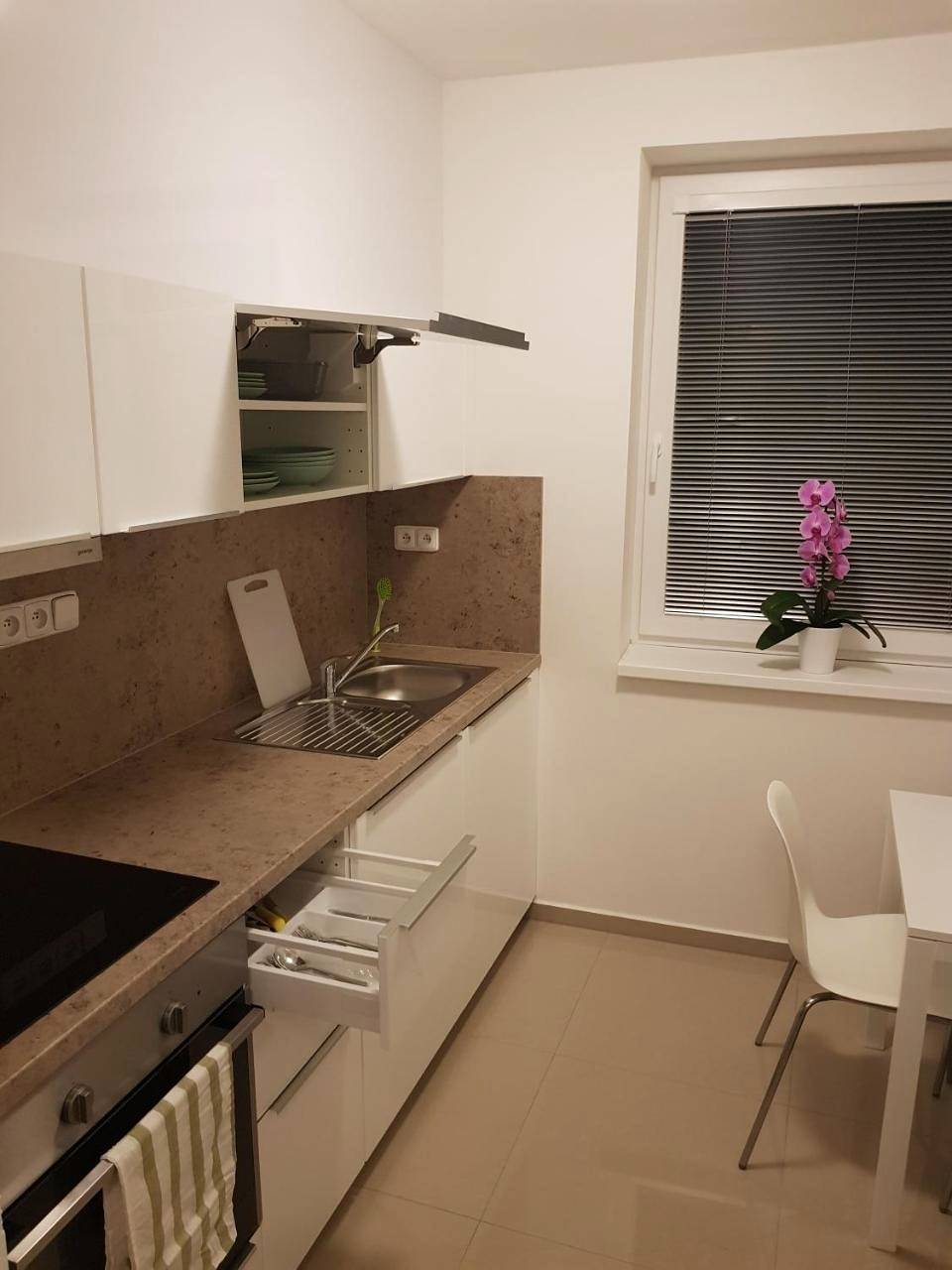 Appartement entier, Newly Built Apartment 5 With Balcony Near Center in Žabovřesky, Brno