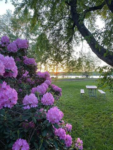 Glamping for 8 Guests in Adirondack Mountains, Herkimer County, Picture 2