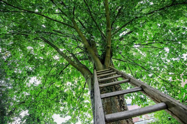 Location de vacances pour 4 personnes, avec jardin et vue, animaux acceptés à Forges-les-Eaux - 3