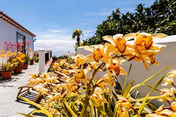 Casa rural para 3 personas, con jardín y vistas en Villa de Mazo - 3