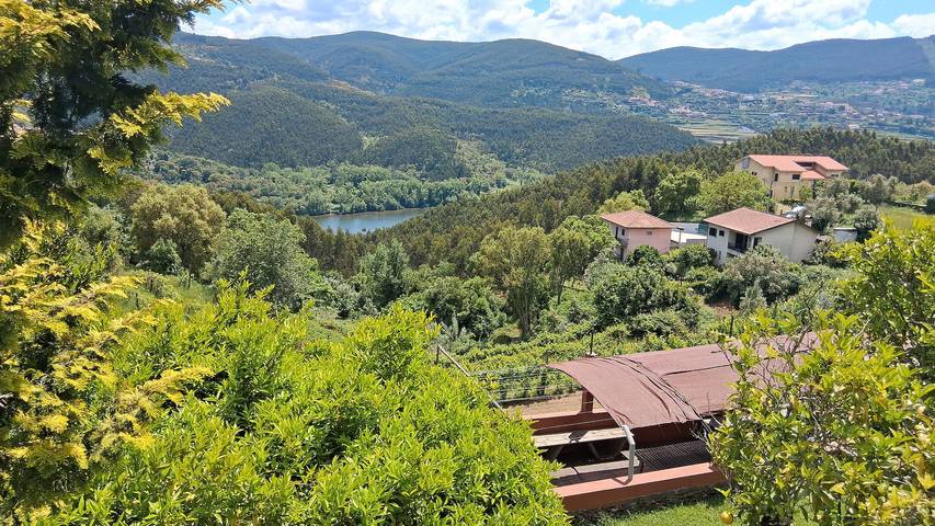 Casa de férias para 12 pessoas, com vista para o lago e jardim e ainda varanda, com animais de estimação em Penafiel