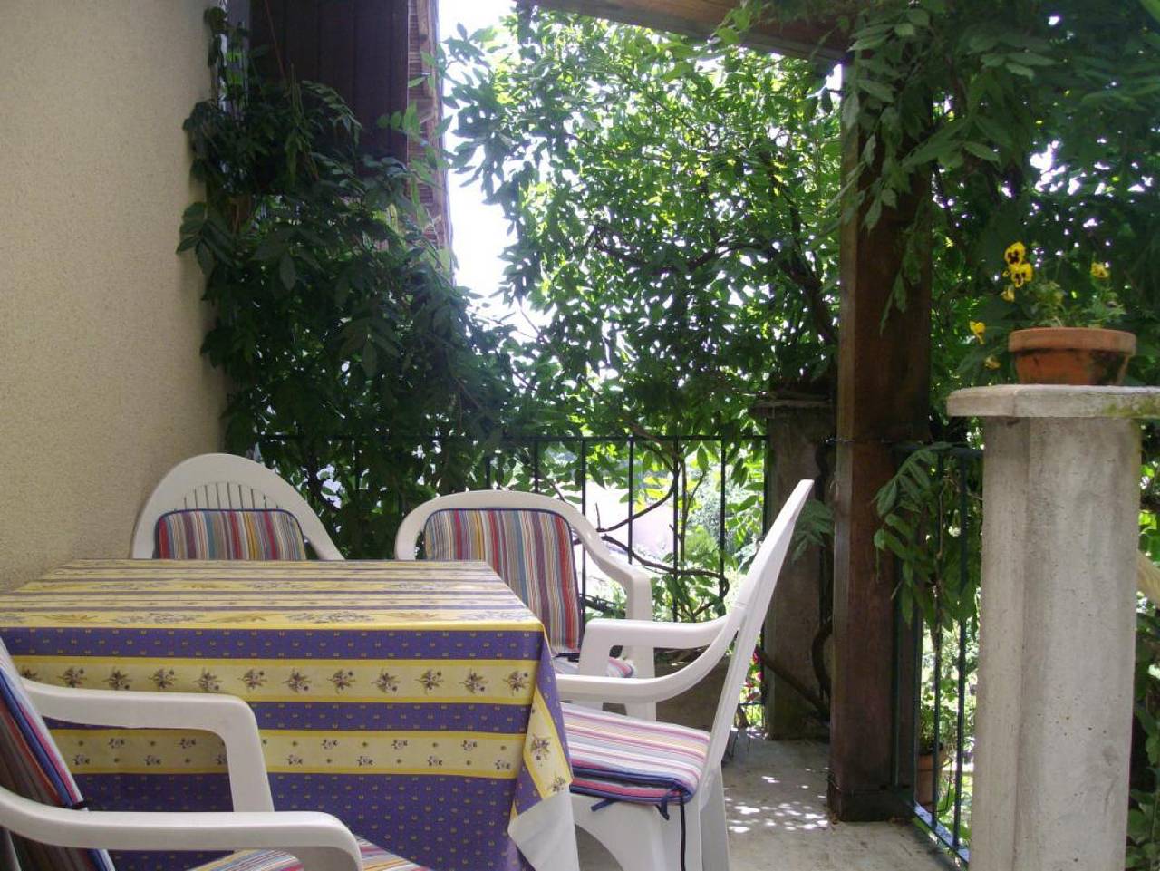 La Clotte in Réalmont, Albi region