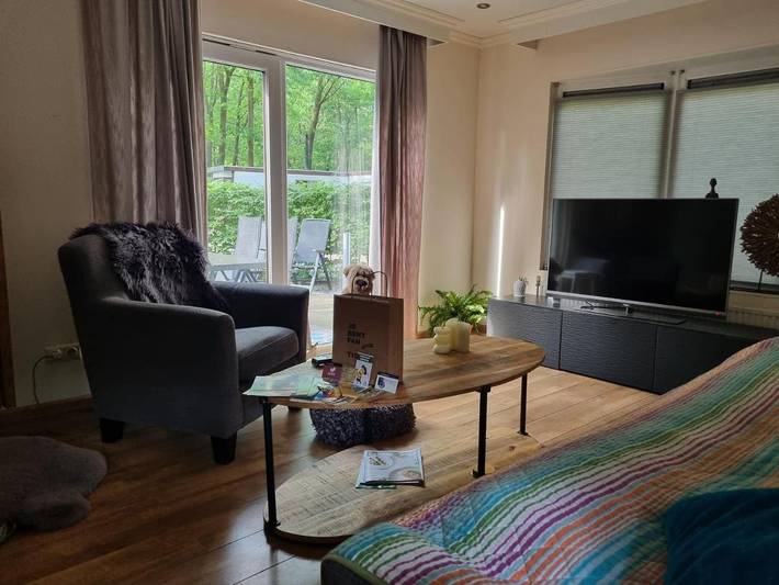 Gîte pour 4 personnes, avec terrasse et vue, animaux acceptés dans Zélande (Brabant du Nord) - 4