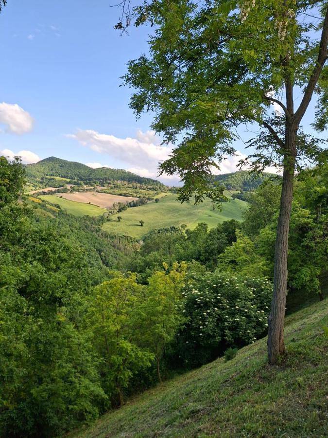 Agriturismo La Valle del Vento Urbino in Urbino, Pesaro-Urbino