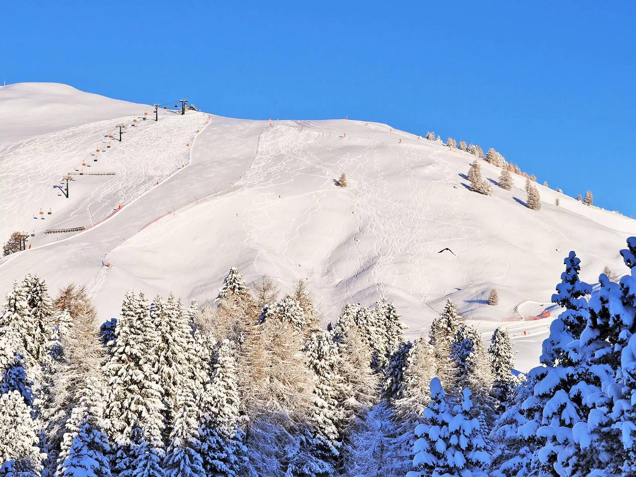 Ganze Wohnung, 3 Zimmer 6 Personen in Predazzo, Dolomiti Superski