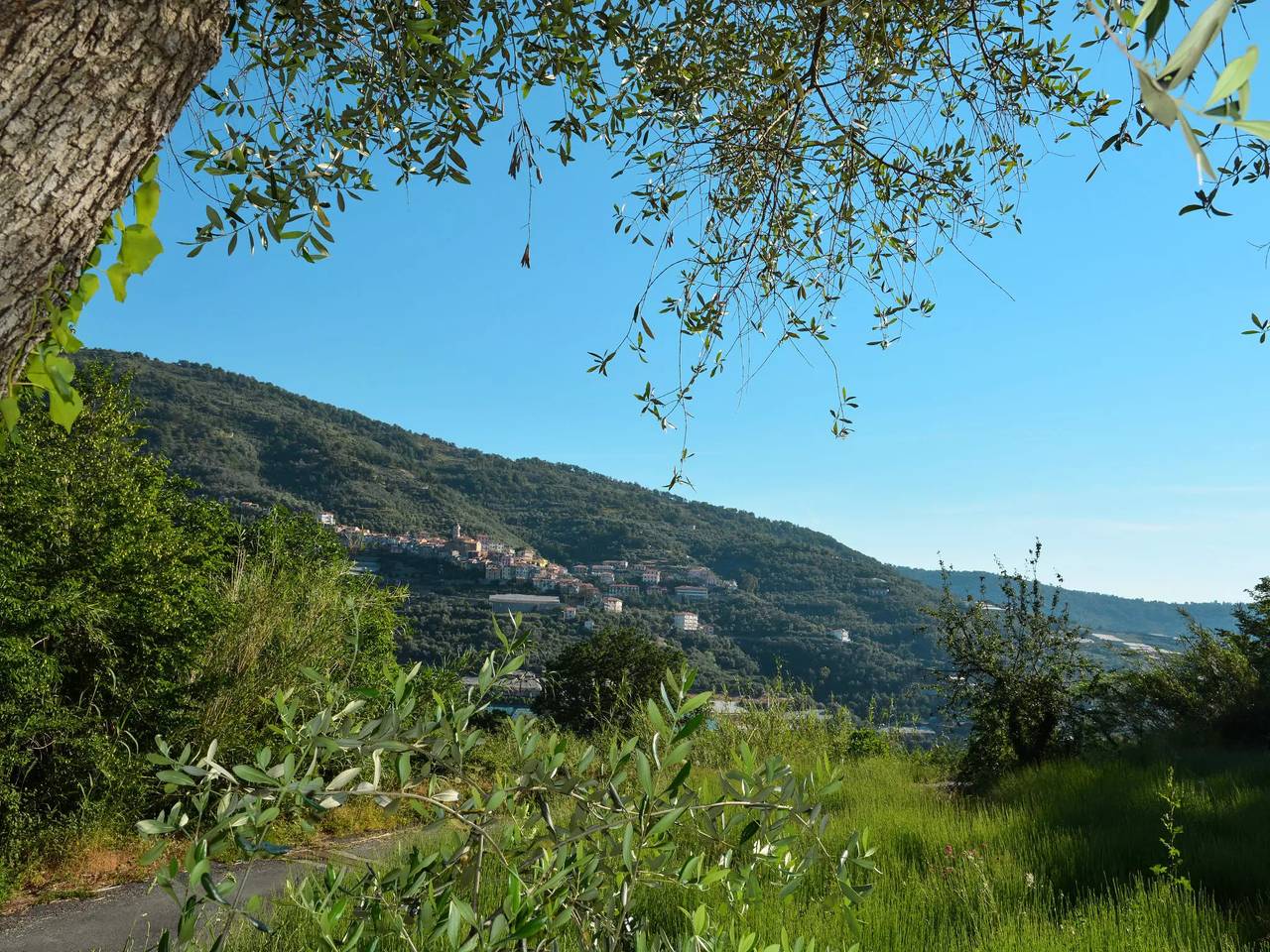 Ganze Wohnung, 2 Zimmer 6 Personen in Pietrabruna, Riviera di Ponente