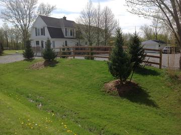 Vacation House for 40 Guests in Niagara Falls, Ontario, Picture 1