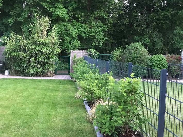 Ferienhaus für 7 Personen, mit Terrasse und Sauna sowie Garten, kinderfreundlich in Graal-Müritz - 4