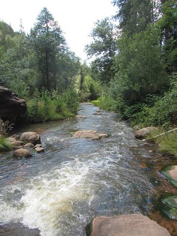 Log Cabin for 4 Guests in Arizona, USA, Picture 2