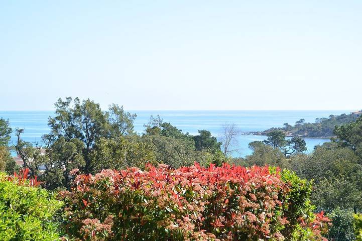 Ferienwohnung für 5 Personen, mit Pool und Terrasse auf Korsika - 4