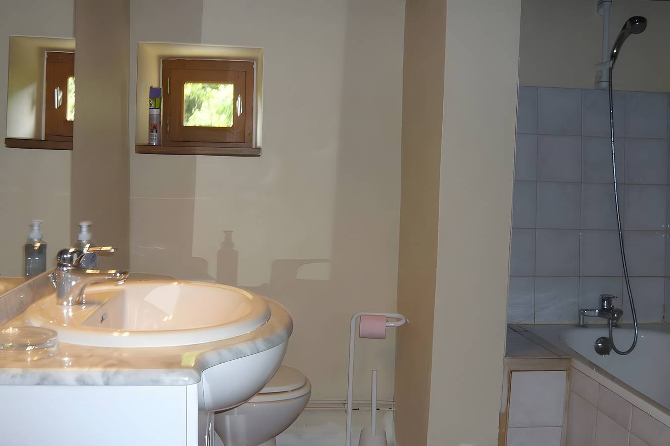 Piccola casa su 5 ettari di proprietà, piscina, sauna, palestra, cavalli, asino in Osse-en-Aspe, Béarn