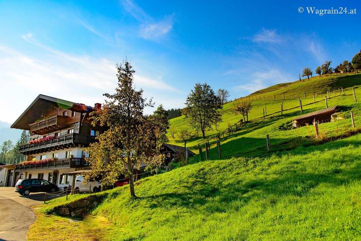 Pension pour 4 personnes, avec terrasse et jardin, animaux acceptés en Autriche - 3
