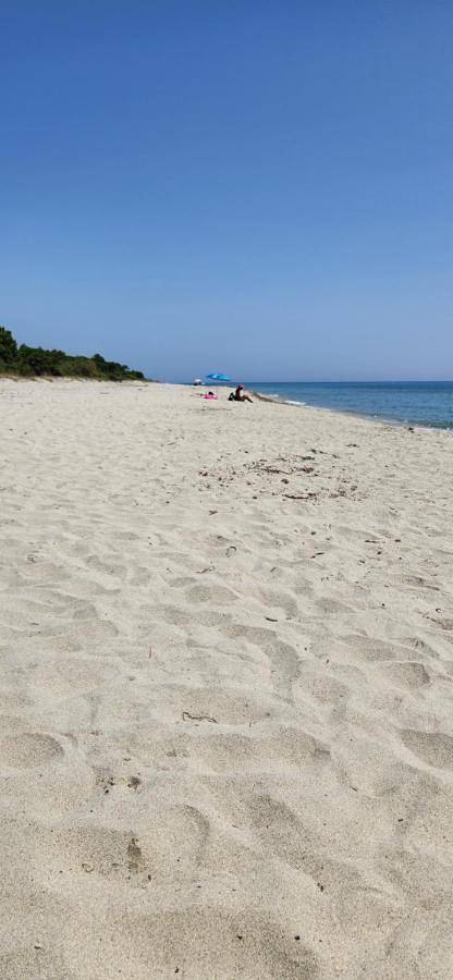 Gîte pour 4 personnes, avec vue et jardin à Pietroso - 3