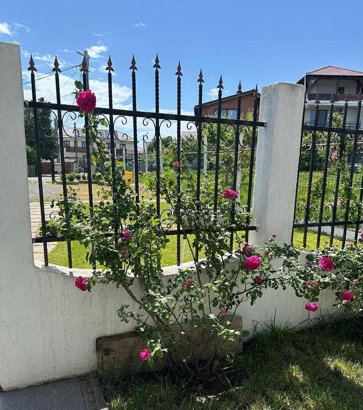 Villa pour 6 personnes, avec jardin et jacuzzi, adapté aux familles en Roumanie - 2
