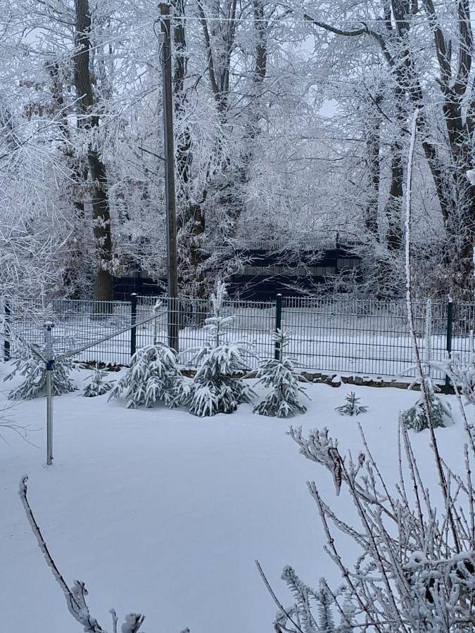 Ferienhaus für 4 Personen, mit Terrasse und Garten sowie Ausblick in Allrode - 2