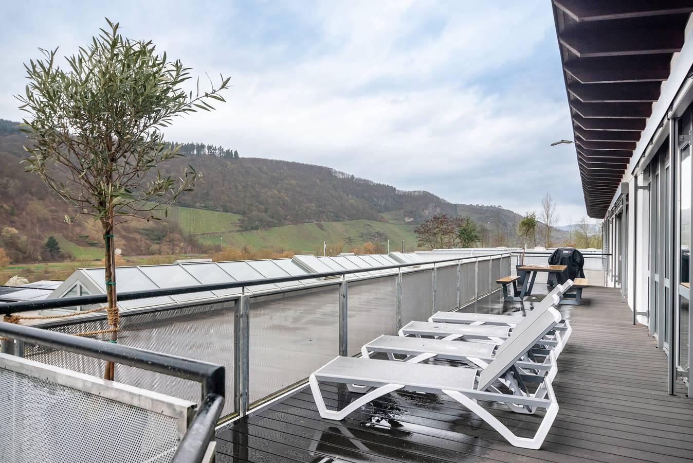 Entire apartment, Moselbude Penthouse with Moselle View, Sauna, Rooftop Terrace, E-Bikes, Grill in Enkirch, Bernkastel-Kues region