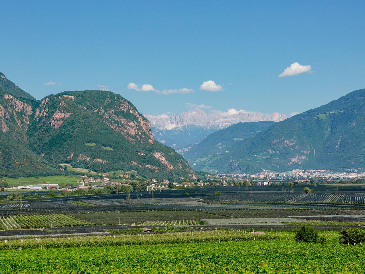 Ganze Wohnung, Wolfsthurn in Andrian, Nonsberggruppe