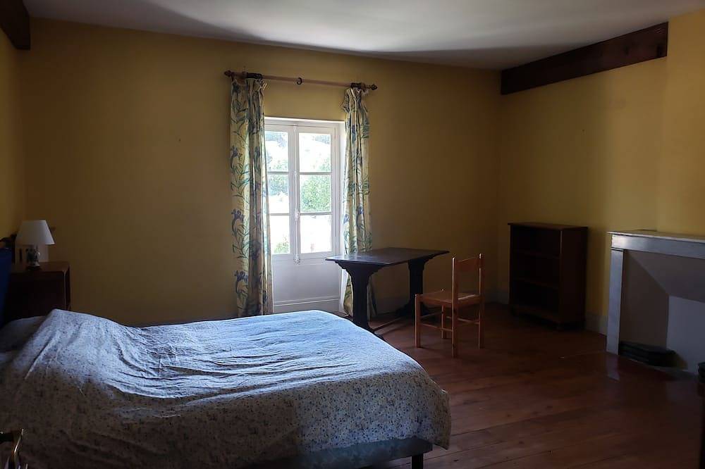 Large family house in a 19th century Hôtel Particulier in Donzère, Région de nyons