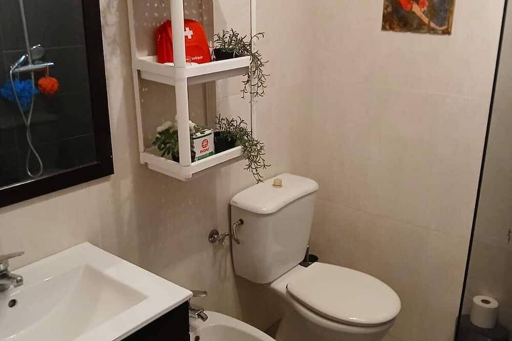 Entire apartment, El Encanto del Casco for 4 passengers + 2 parking spaces in Saragossa, Saragossa Province