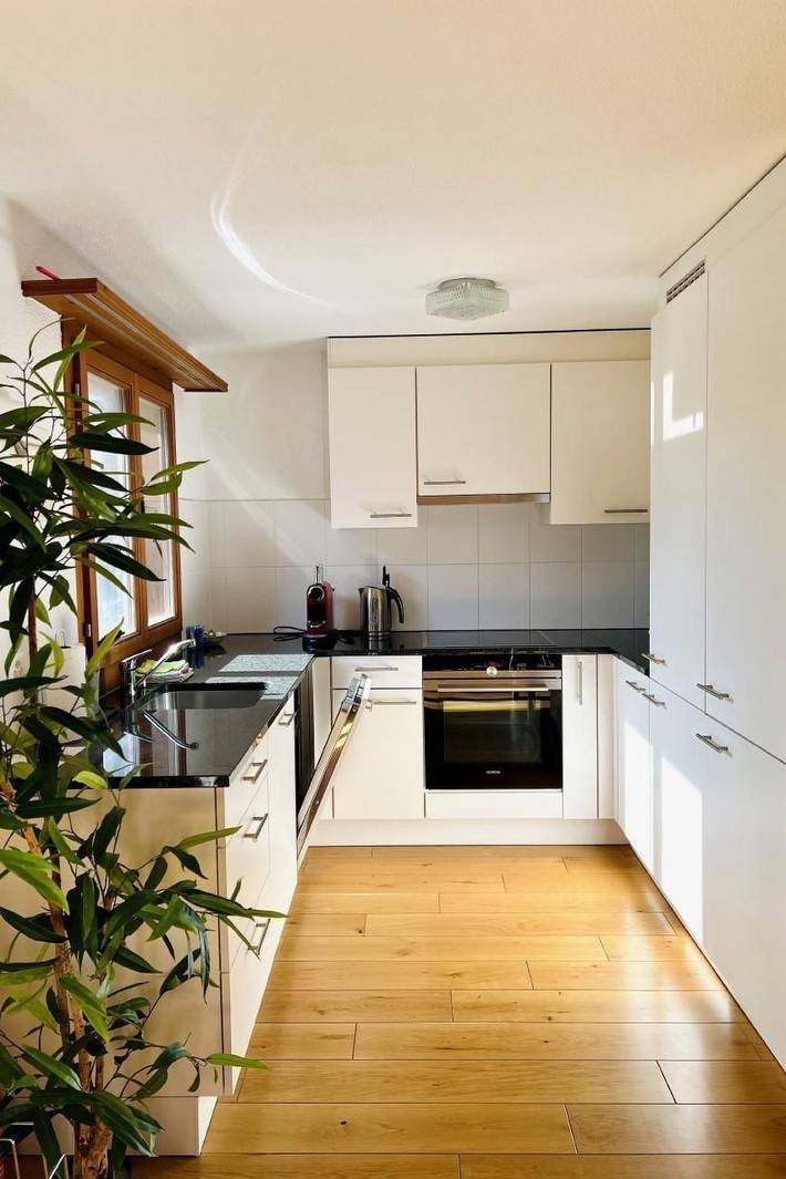 Ganze Wohnung, Maisonette 4.5Zimmer in Hofstetten bei Brienz, Verwaltungskreis Interlaken-Oberhasli