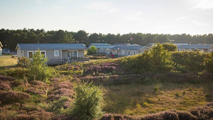 Chalet für 5 Personen, mit Terrasse auf Texel - 2
