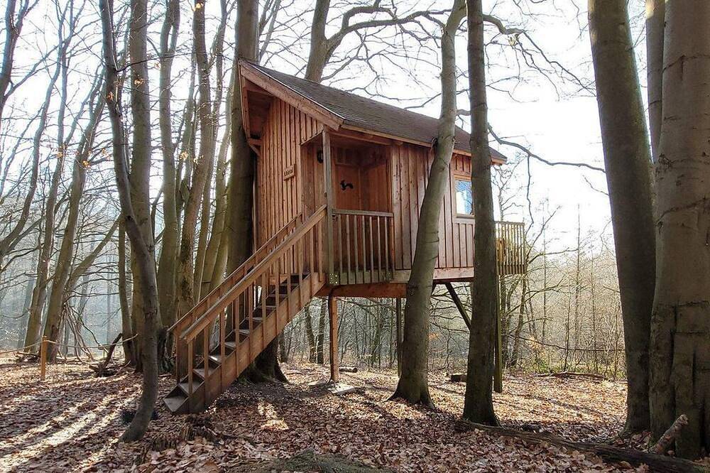 Ganze Wohnung, Baumzelt Buche - Baumhaushotel Solling in Solling, Weserbergland