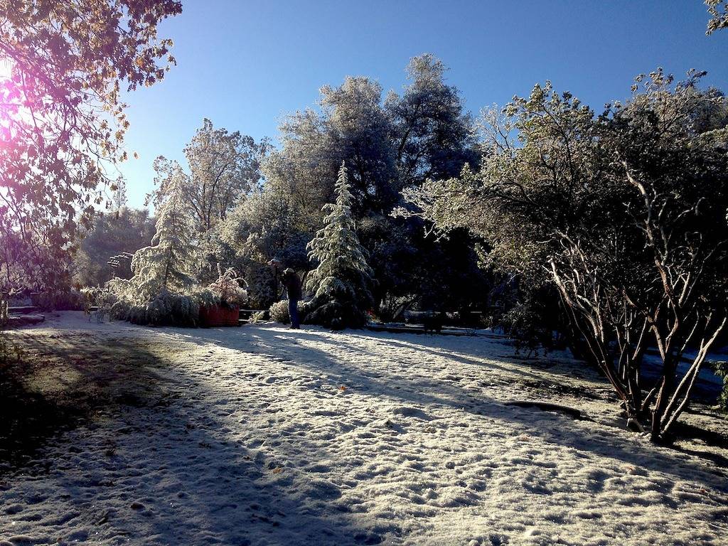 Liebhaberkabine; Das Tor zum Yosemite National Park und mehr! in Oakhurst, Madera County