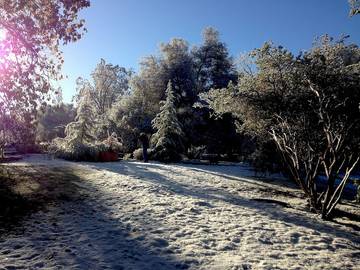 Casetta Di Legno per 2 Persone in Oakhurst, Northern California, Foto 3