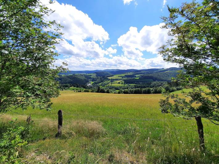 Pension Café Fernblick - Einzelzimmer in Willingen, die Mittelgebirge