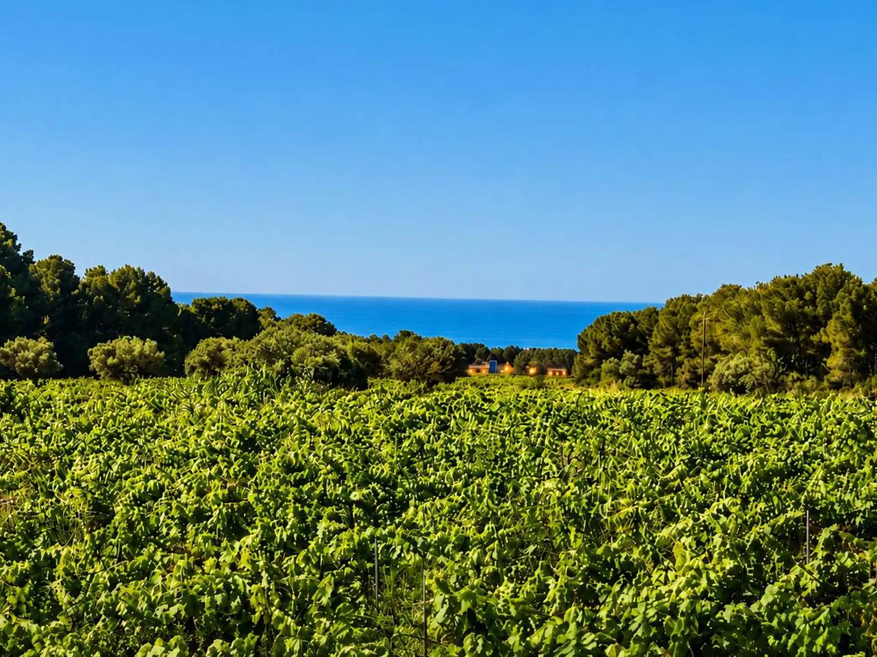 Haus 18 Personen in Cubelles, Garraf