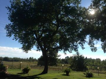 Villa til 12 Personer i Castiglion Fiorentino, Provinsen Arezzo, Bilde 4