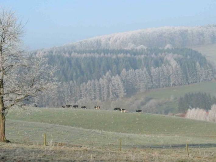 Chalet für 4 Personen, mit Garten, kinderfreundlich im Odenwald